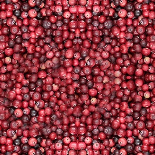 Picture of Berries Frozen Cranberries AmbeRye 300 g, 30 packs per box